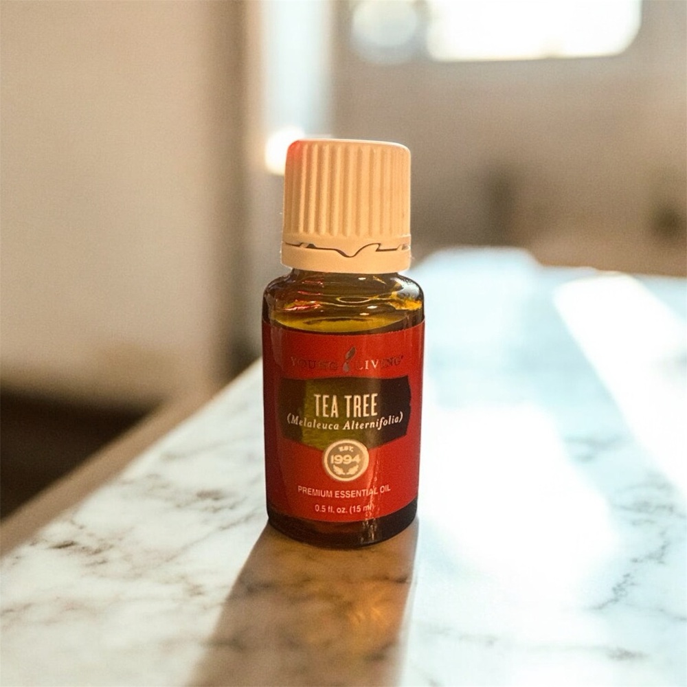 Young Living Tea Tree Essential Oil - Red and Cream